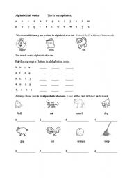 English Worksheet: Alphabetical order