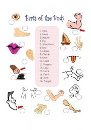 English Worksheet: Body Parts