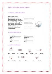 English worksheet: LETS DO SOME EXERCISES!