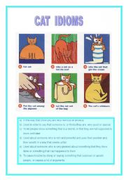 English Worksheet: cat idioms