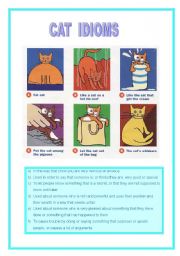 cat idioms