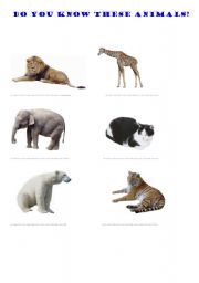 English worksheet: Animals