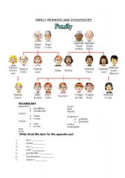 FAMILY MEMBERS AND POSSESSIVES