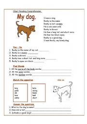 English Worksheet: My dog