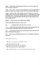 English worksheet: PLANTS