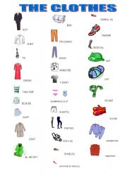THE CLOTHES - ESL worksheet by dan1238