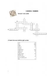 English worksheet: Cardinal Numbers