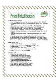 English Worksheet: Present Perfect