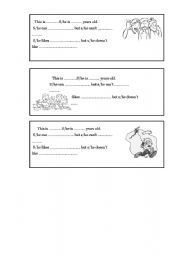 English Worksheet: Introduction cards