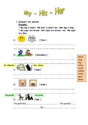English Worksheet: Possessives My-His-Her & Body Parts