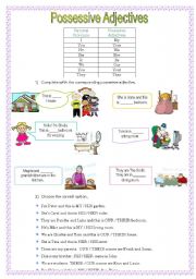 English Worksheet: Possessive Adjectives
