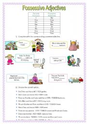 English Worksheet: Possessive Adjectives