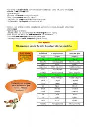 English Worksheet: Explanations about Comparatives and superlatives 