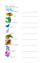 English worksheet: a or an illustrated drill
