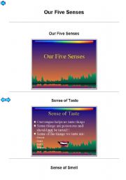 English worksheet: the five senses