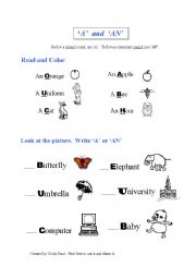 English Worksheet: A or An and THE worksheet