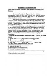 English worksheet: Reading Comprehension