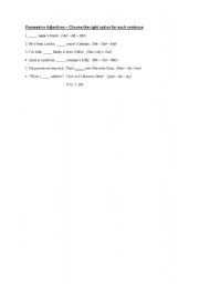 English Worksheet: Possessive Adjectives