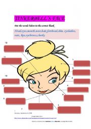 English Worksheet: Tinkerbells Face