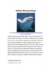 English worksheet: Bubble-Blowing Beluga