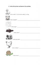 English worksheet: Animals