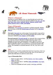 English worksheet: Mammals