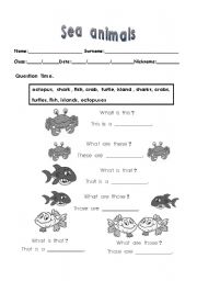 English Worksheet: Sea Animals