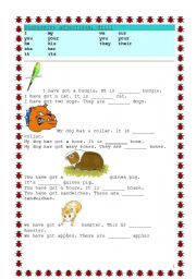 English Worksheet: Possessive adjectives, drill