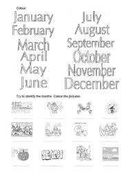 English Worksheet: The Months