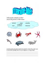 English worksheet: Marine Animals