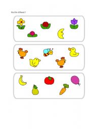 English Worksheet: Find the different 3