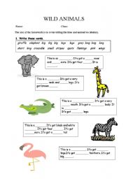 English Worksheet: WILD ANIMALS