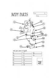 English Worksheet: Body Parts