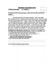 English Worksheet: Reading Comprehension