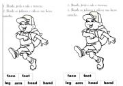 English Worksheet: Parts of the body