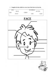 English Worksheet: Face