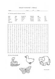 English worksheet: Animals