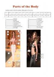 English Worksheet: Gisele Bndchens parts of the body