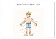 English Worksheet: Parts of the body