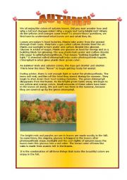 English Worksheet: Autumn