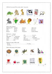English Worksheet: vocabulary about animals 