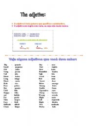 English worksheet: The adjective