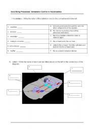 English Worksheet: Describing Processes: Automobile Exhaust Emissions