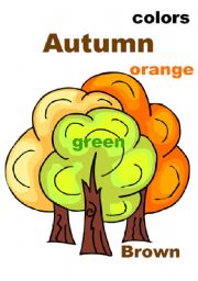 Autumn colors flashcard