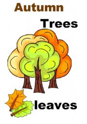 English Worksheet: Autumn vocabulary