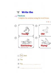 English Worksheet: write the  sentence