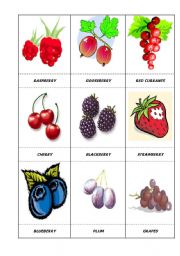 English Worksheet: FRUITS and BERRIES (1/2)