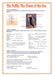 English Worksheet: The Puffin: The Clown of the Sea
