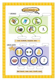 English Worksheet: pictures for children animals /body parts PAGE1