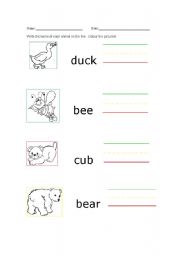 English worksheet: Animals